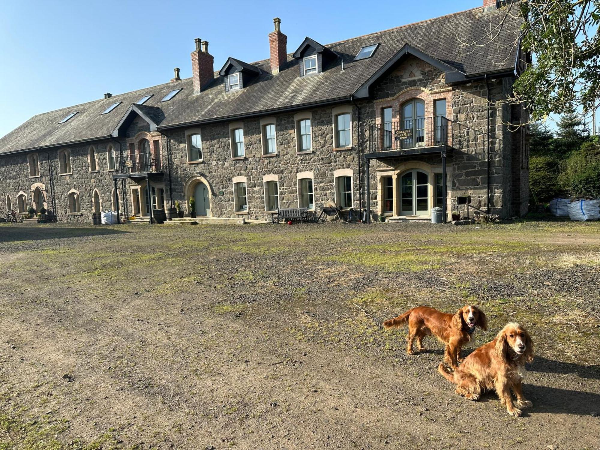The Old Flax Mill Yoga Retreat Villa Coleraine Exterior photo